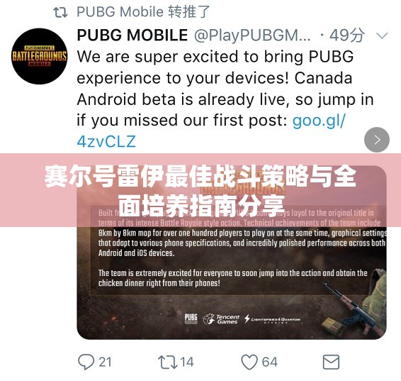 赛尔号雷伊最佳战斗策略与全面培养指南分享