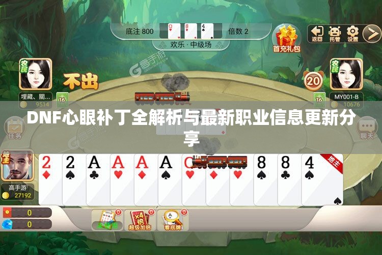 DNF心眼补丁全解析与最新职业信息更新分享