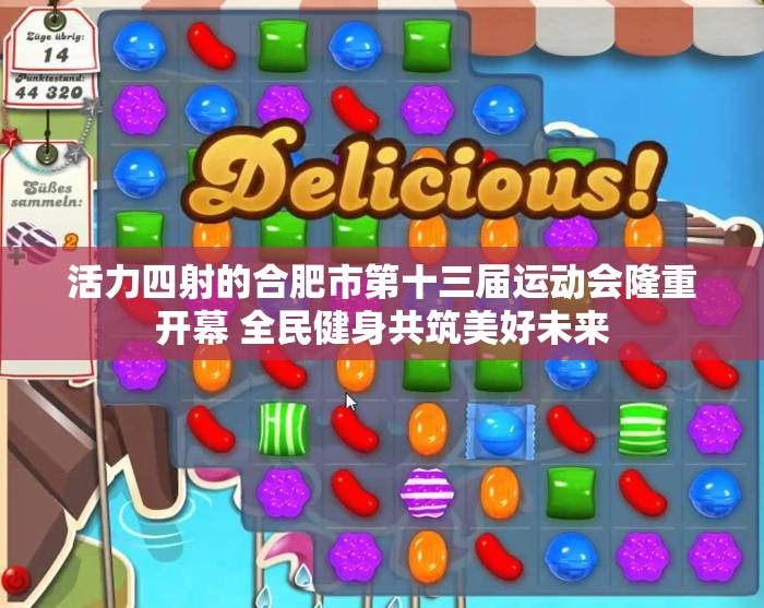 活力四射的合肥市第十三届运动会隆重开幕 全民健身共筑美好未来