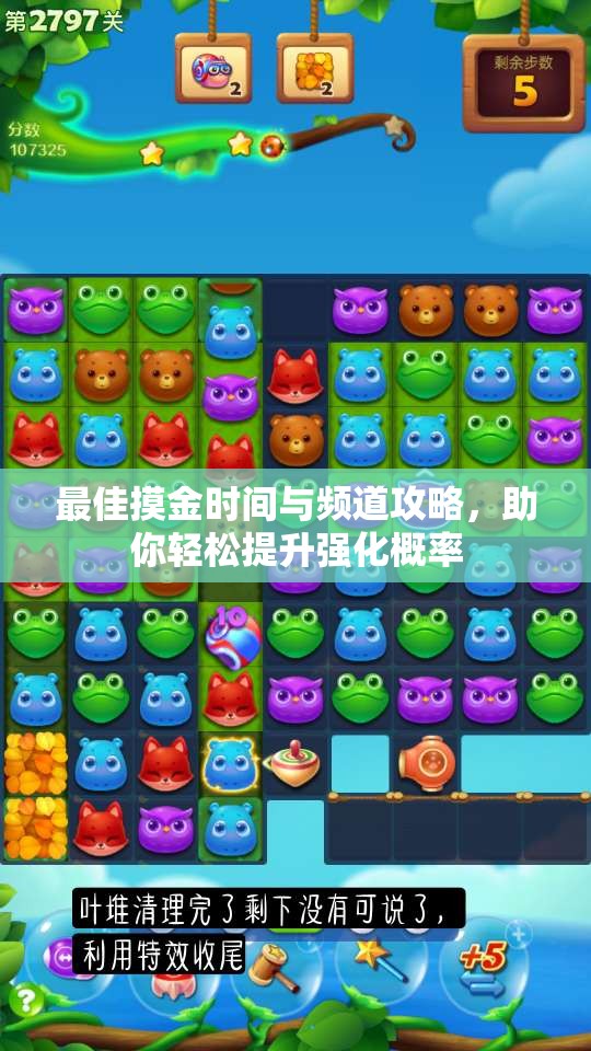 最佳摸金时间与频道攻略，助你轻松提升强化概率