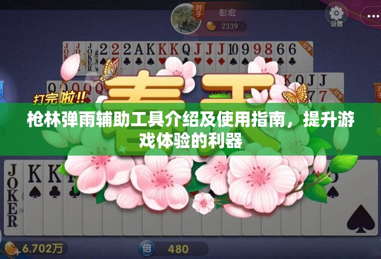 枪林弹雨辅助工具介绍及使用指南，提升游戏体验的利器
