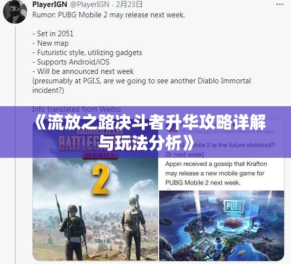 《流放之路决斗者升华攻略详解与玩法分析》