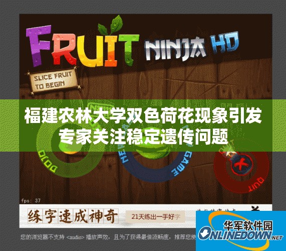 福建农林大学双色荷花现象引发专家关注稳定遗传问题