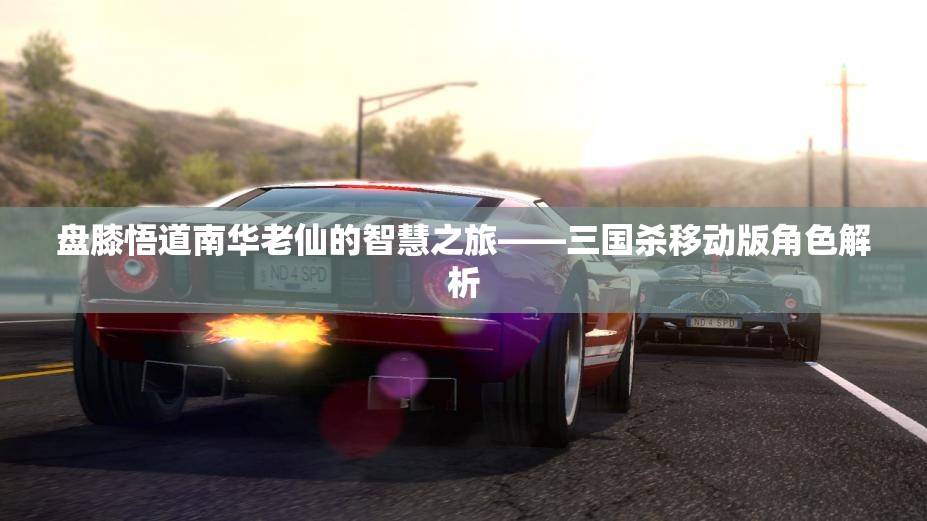 盘膝悟道南华老仙的智慧之旅——三国杀移动版角色解析