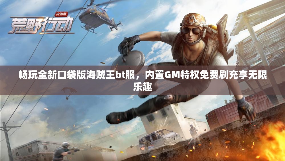 畅玩全新口袋版海贼王bt服，内置GM特权免费刷充享无限乐趣