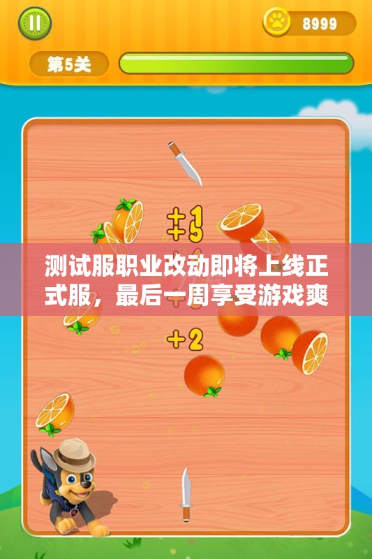 测试服职业改动即将上线正式服，最后一周享受游戏爽快体验！
