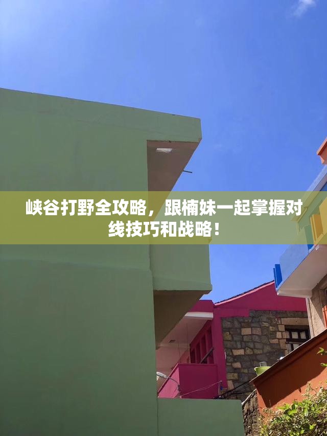 峡谷打野全攻略，跟楠妹一起掌握对线技巧和战略！