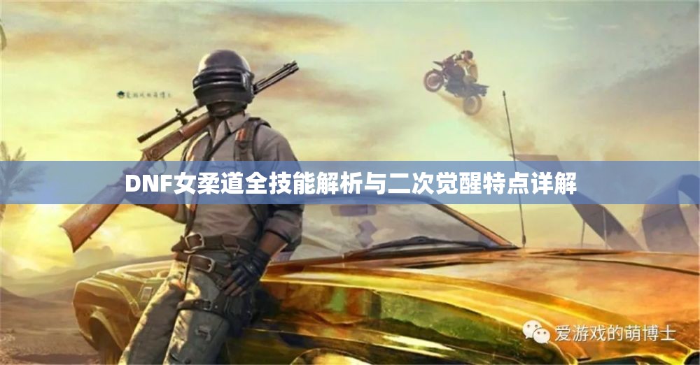 DNF女柔道全技能解析与二次觉醒特点详解