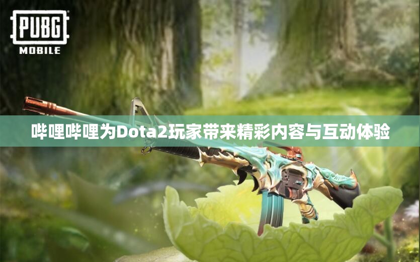 哔哩哔哩为Dota2玩家带来精彩内容与互动体验