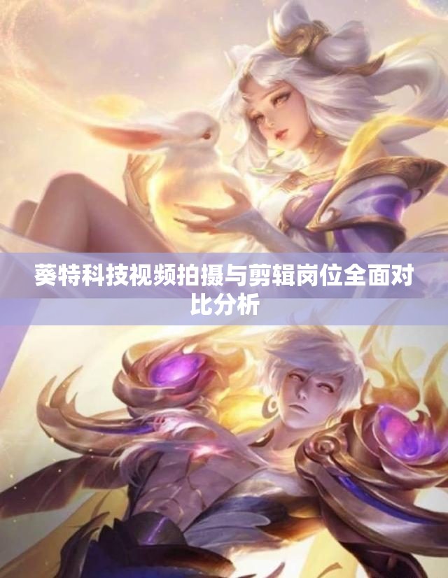 葵特科技视频拍摄与剪辑岗位全面对比分析