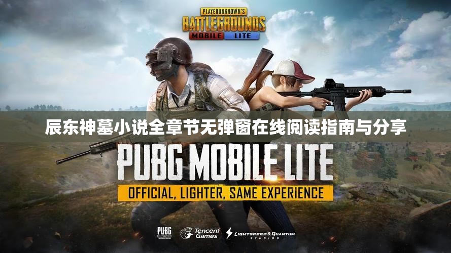 辰东神墓小说全章节无弹窗在线阅读指南与分享