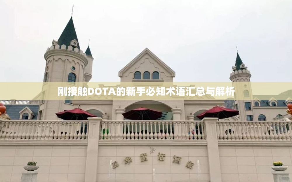 刚接触DOTA的新手必知术语汇总与解析