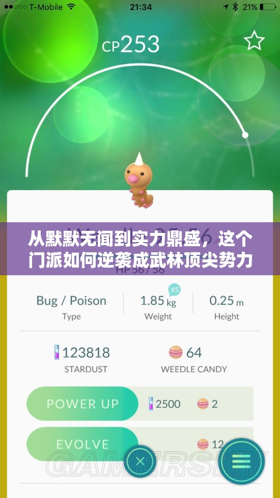 从默默无闻到实力鼎盛，这个门派如何逆袭成武林顶尖势力