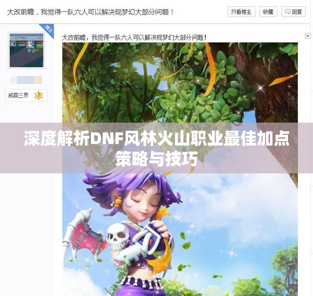 深度解析DNF风林火山职业最佳加点策略与技巧