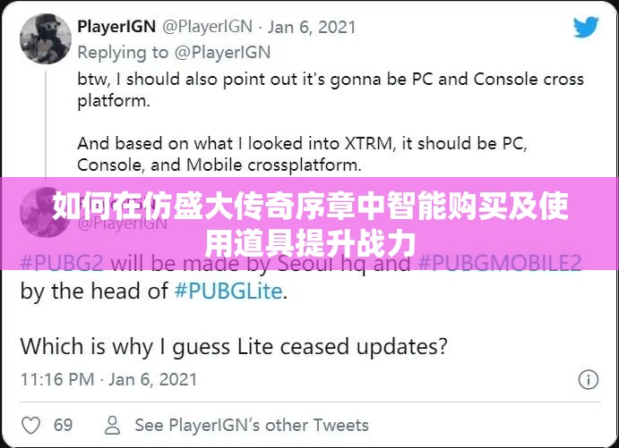 如何在仿盛大传奇序章中智能购买及使用道具提升战力