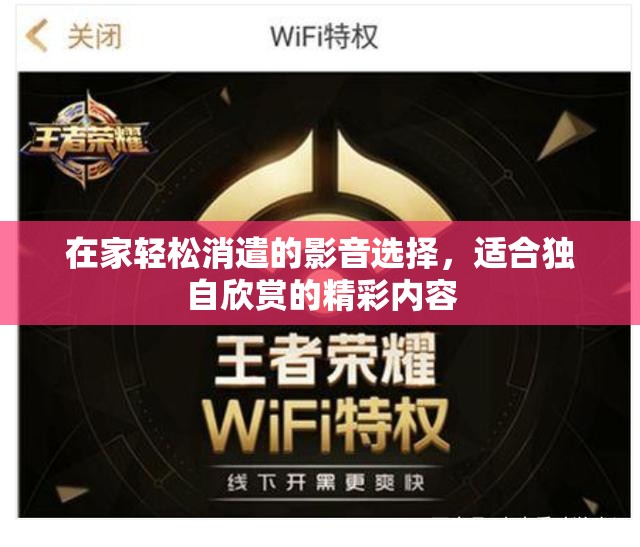 在家轻松消遣的影音选择，适合独自欣赏的精彩内容