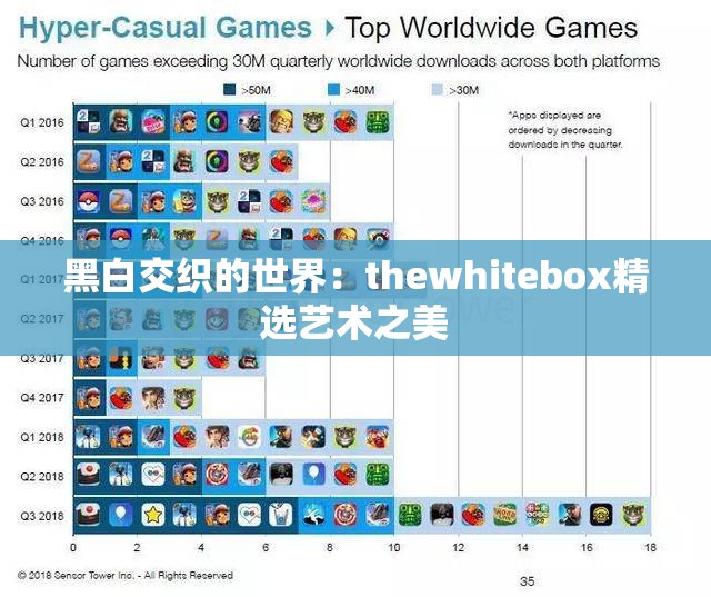 黑白交织的世界：thewhitebox精选艺术之美