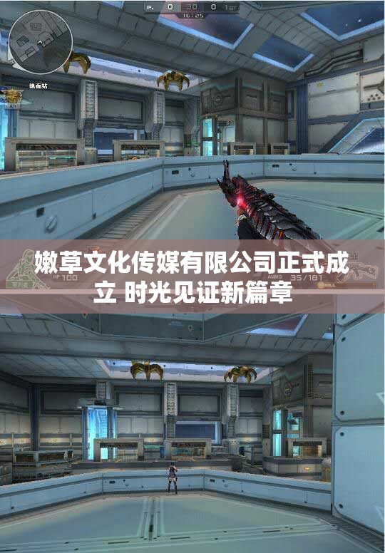 嫩草文化传媒有限公司正式成立 时光见证新篇章