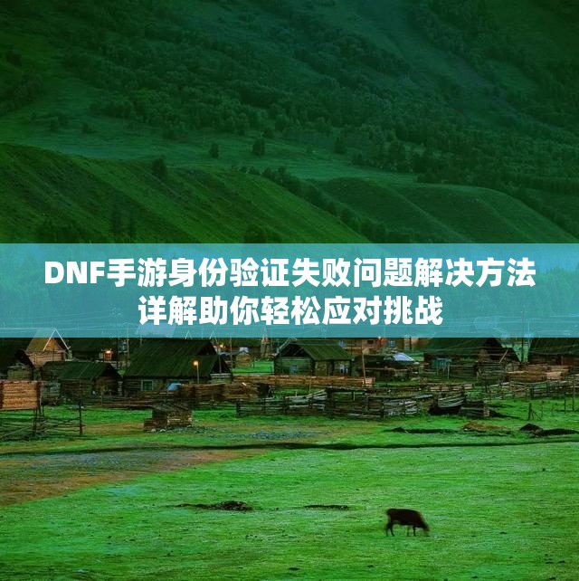 DNF手游身份验证失败问题解决方法详解助你轻松应对挑战