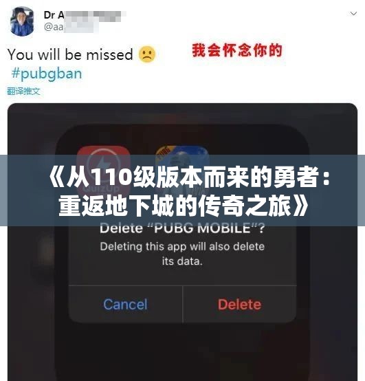 《从110级版本而来的勇者：重返地下城的传奇之旅》