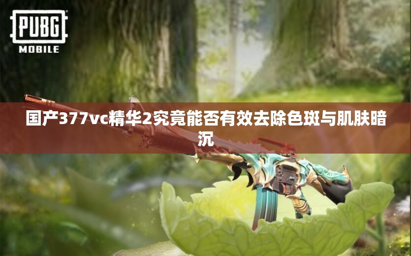 国产377vc精华2究竟能否有效去除色斑与肌肤暗沉