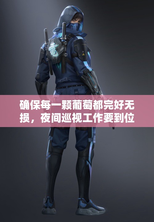 确保每一颗葡萄都完好无损，夜间巡视工作要到位