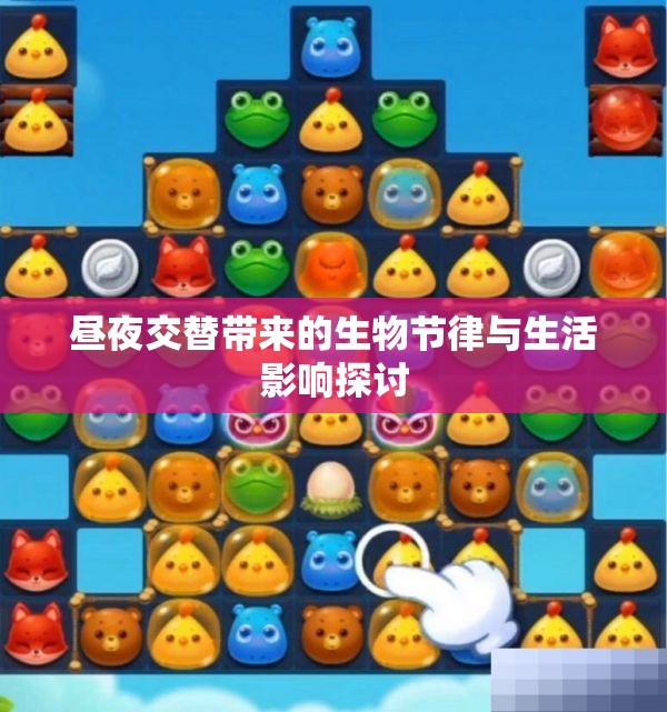 昼夜交替带来的生物节律与生活影响探讨