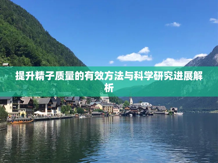 提升精子质量的有效方法与科学研究进展解析