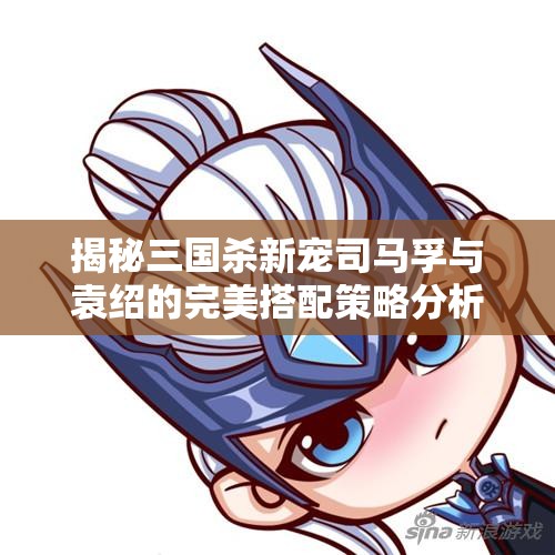 揭秘三国杀新宠司马孚与袁绍的完美搭配策略分析