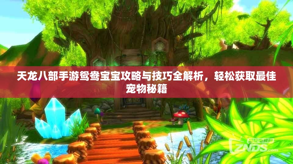 天龙八部手游鸳鸯宝宝攻略与技巧全解析，轻松获取最佳宠物秘籍