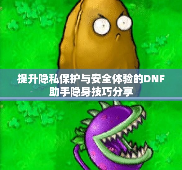 提升隐私保护与安全体验的DNF助手隐身技巧分享