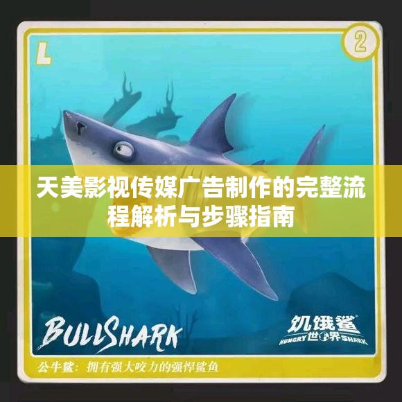 天美影视传媒广告制作的完整流程解析与步骤指南