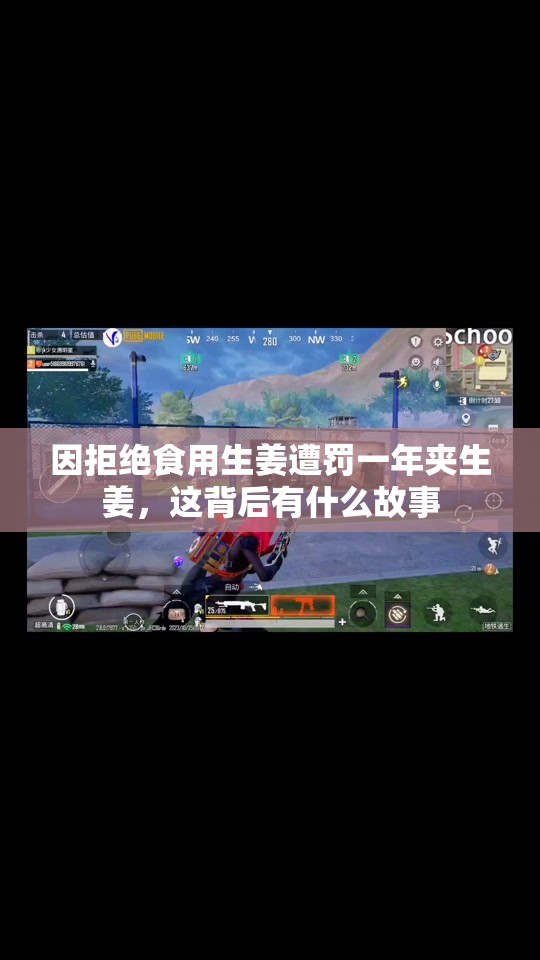 因拒绝食用生姜遭罚一年夹生姜，这背后有什么故事