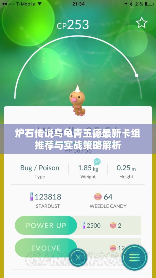 炉石传说乌龟青玉德最新卡组推荐与实战策略解析