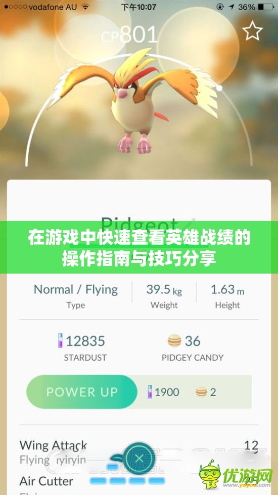 在游戏中快速查看英雄战绩的操作指南与技巧分享