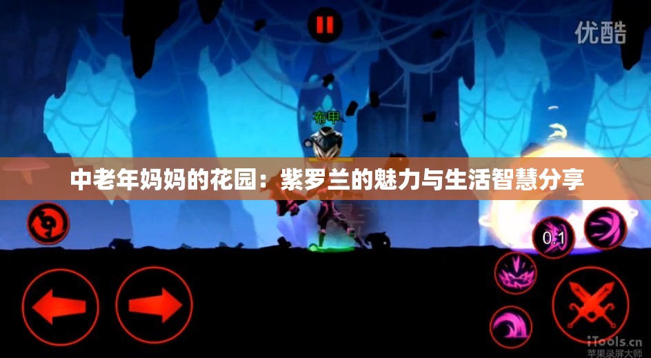 中老年妈妈的花园：紫罗兰的魅力与生活智慧分享
