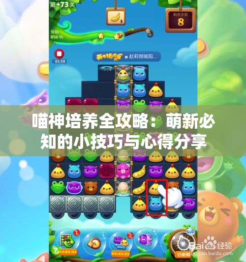喵神培养全攻略：萌新必知的小技巧与心得分享