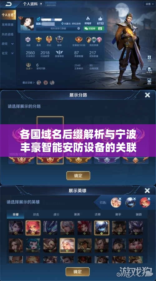 各国域名后缀解析与宁波丰豪智能安防设备的关联分析