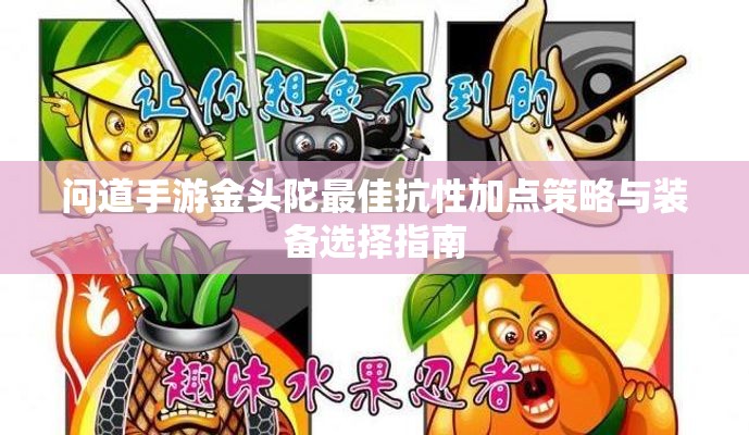 问道手游金头陀最佳抗性加点策略与装备选择指南