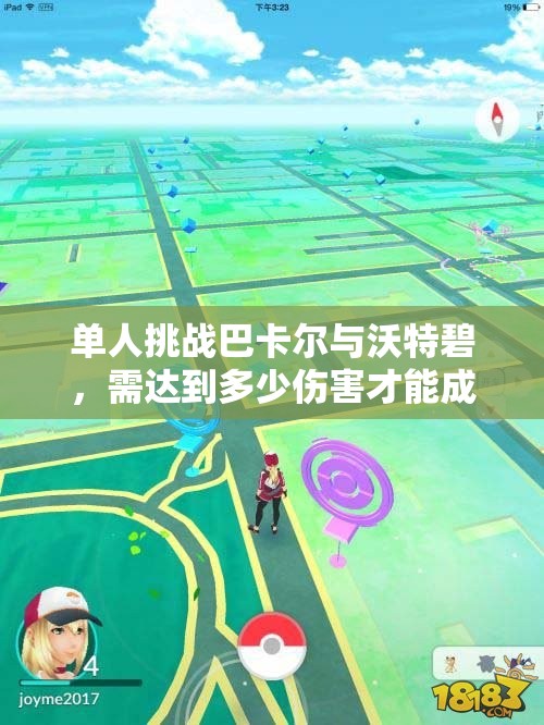 单人挑战巴卡尔与沃特碧，需达到多少伤害才能成功通关