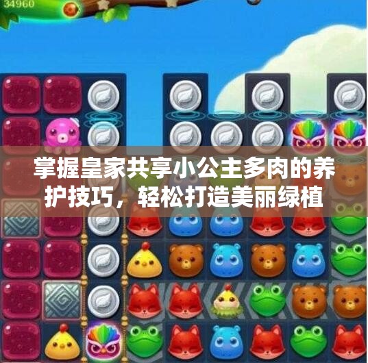 掌握皇家共享小公主多肉的养护技巧，轻松打造美丽绿植园