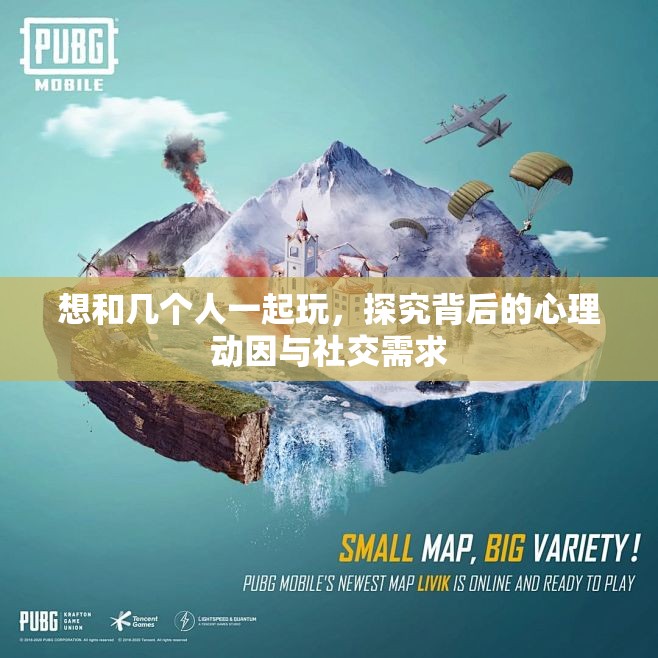 想和几个人一起玩，探究背后的心理动因与社交需求