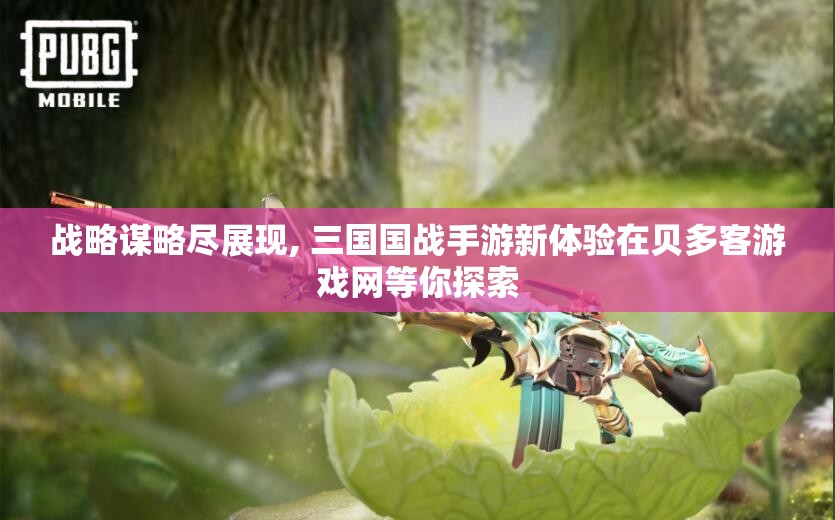 战略谋略尽展现, 三国国战手游新体验在贝多客游戏网等你探索