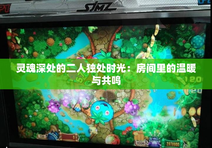 灵魂深处的二人独处时光：房间里的温暖与共鸣