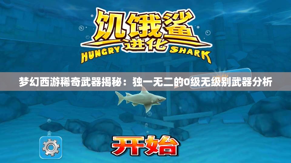 梦幻西游稀奇武器揭秘：独一无二的0级无级别武器分析