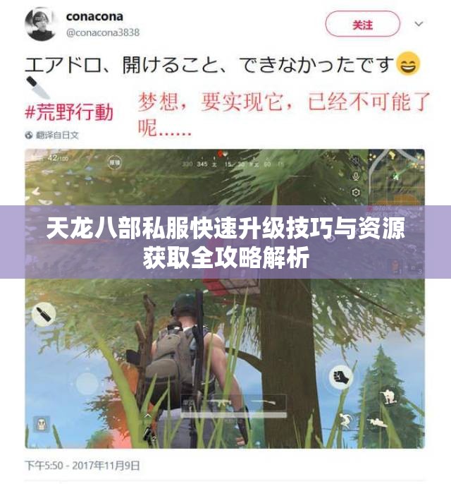 天龙八部私服快速升级技巧与资源获取全攻略解析