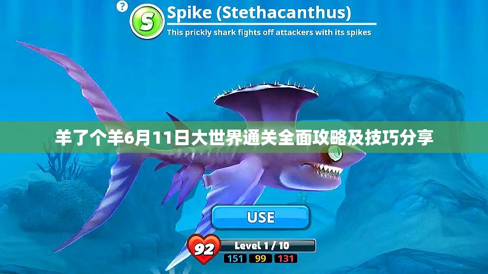 羊了个羊6月11日大世界通关全面攻略及技巧分享