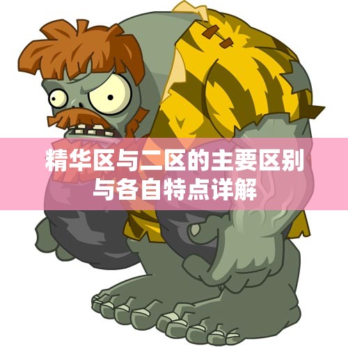 精华区与二区的主要区别与各自特点详解