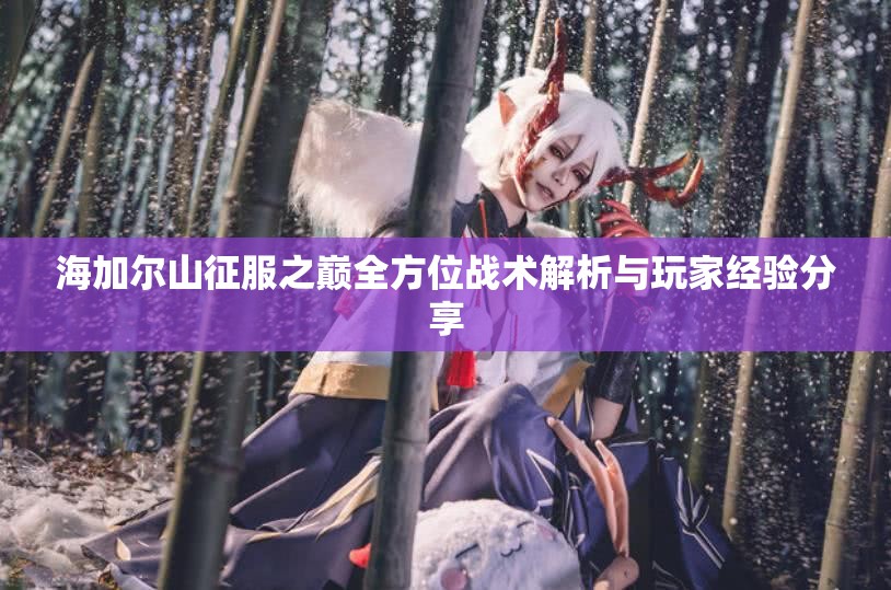 海加尔山征服之巅全方位战术解析与玩家经验分享
