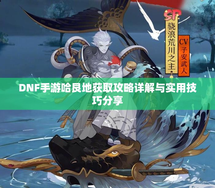 DNF手游哈艮地获取攻略详解与实用技巧分享